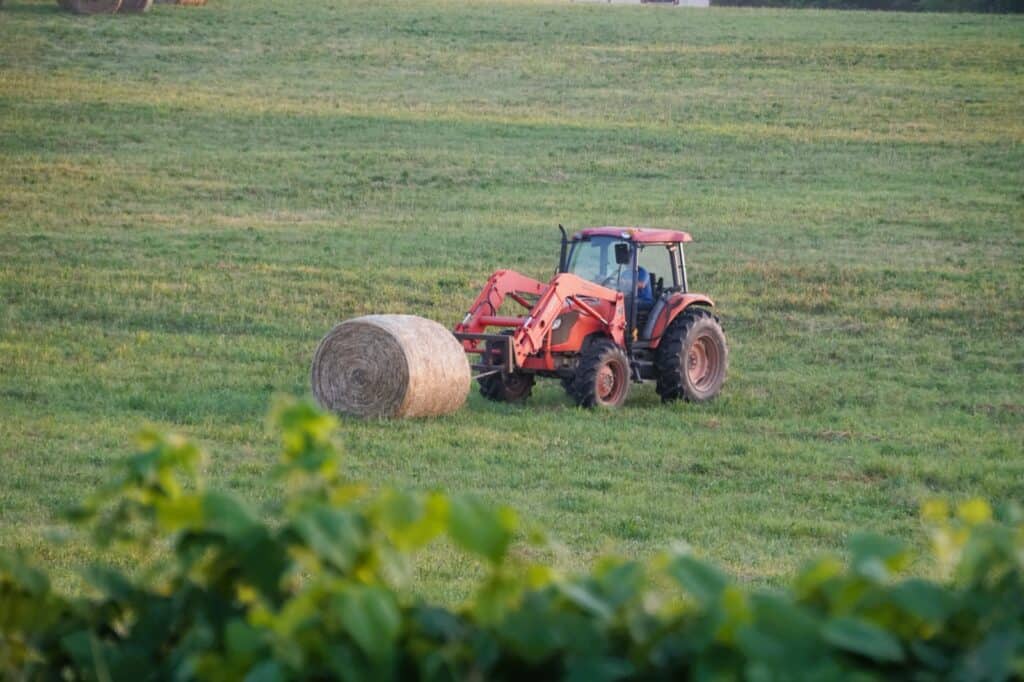 Lowering Prices for Working Arkansans